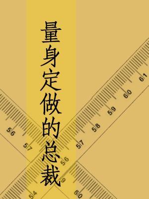量身定做的总裁封面