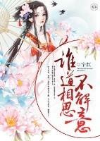 谁道相思不解意封面