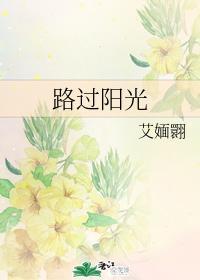 路过阳光封面