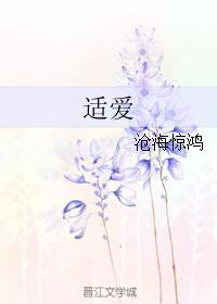 适爱封面