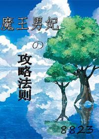 魔王男妃的攻略法则封面