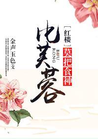 [红楼]莫把食神比芙蓉封面