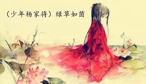 （少年杨家将）绿草如茵封面