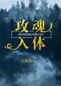 攻魂入体封面