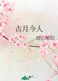 古月今人封面