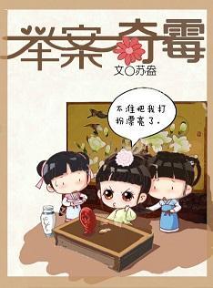 臣妾，举案奇霉封面