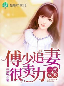 一枕成欢：傅少追妻很卖力封面