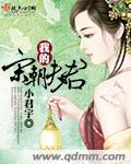 我的宋朝夫君封面
