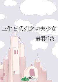 三生石系列之功夫少女封面