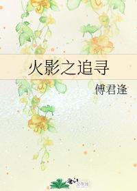 火影之追寻封面