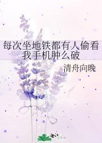 每次坐地铁都有人偷看我手机肿么破封面