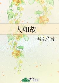 人如故封面