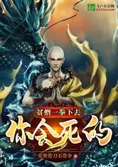 贫僧一拳你会死的！封面