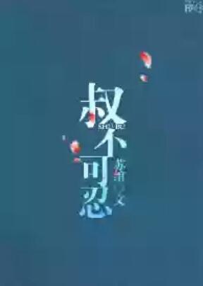 叔不可忍封面