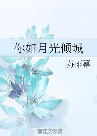 你如月光倾城封面