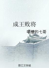 成王败将封面