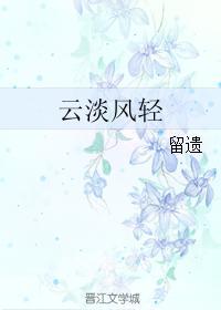 云淡风轻封面