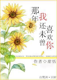 那年，我还未曾喜欢你封面