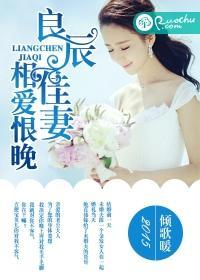 良辰佳妻，相爱恨晚封面