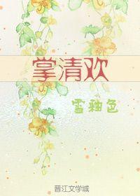 掌清欢封面