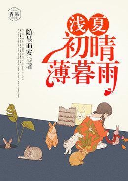 浅夏初晴薄暮雨封面