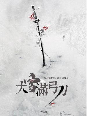 大雪满弓刀封面