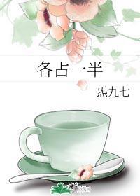 各占一半封面