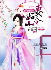 妖孽国舅妻令如山封面