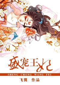 盛宠王妃封面