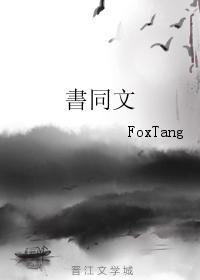 书同文封面