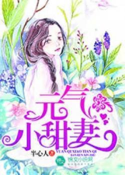 元气小甜妻封面