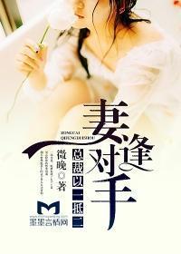 妻逢对手，总裁以一抵二封面
