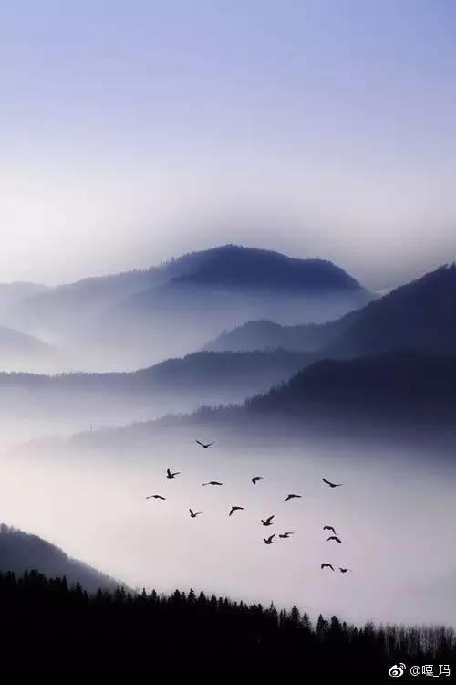 洛书·落花时封面