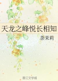 天龙之峰悦长相知封面