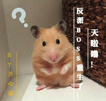 天啦噜！反派BOSS重生了！封面