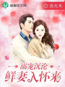 溺宠沈沦：鲜妻入怀来封面