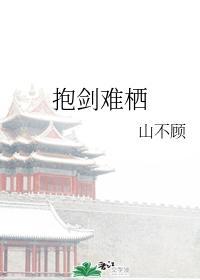 抱剑难栖封面