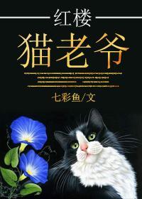 红楼猫老爷封面