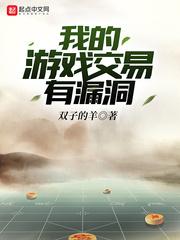 我的游戏交易有漏洞封面