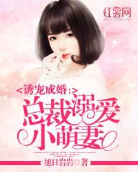 诱宠成婚：总裁溺爱小萌妻封面