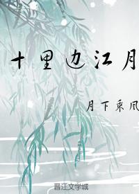 十裏边江月封面