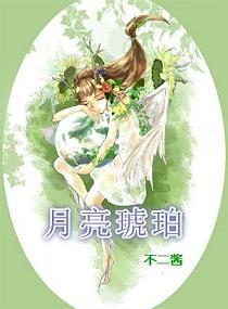 月亮琥珀封面
