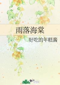雨落海棠封面