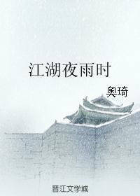 江湖夜雨时封面