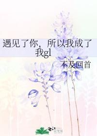 遇见了你，所以我成了我gl封面