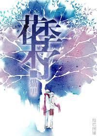 花季未了封面