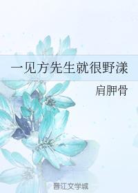 一见方先生就很野漾封面