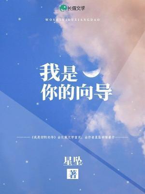 我是你的向导封面