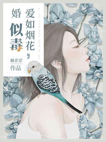 爱如烟花，婚似毒封面