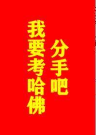 分手吧，我要考哈佛！封面